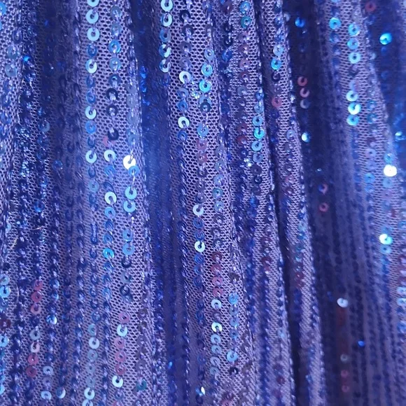 Elegant Blue Sequin Dress - Picture 5 of 7